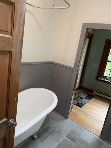 new soaking tub and shower